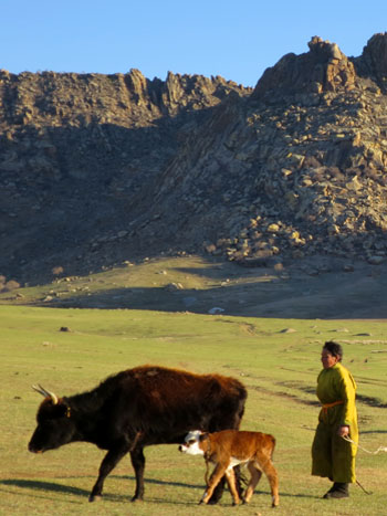 mongolia