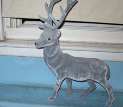 deer